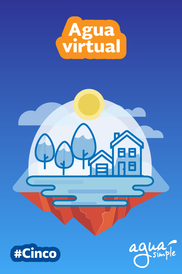 5 agua virtual