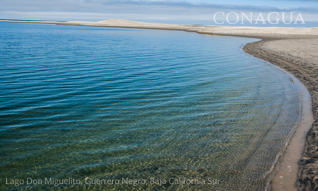 Lago Don Miguelito Guerrero Negro, Baja California Sur