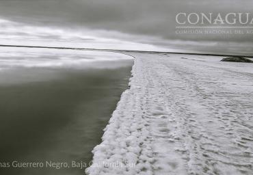 Salinas Guerrero Negro, Baja Californía Sur