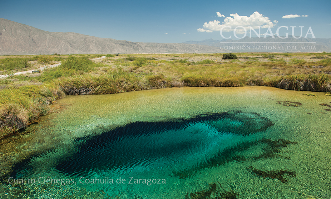 Cuatro Ciénegas, Coahuila de Zaragoza