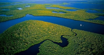 A importância da Bacia Amazônica e sua preservação