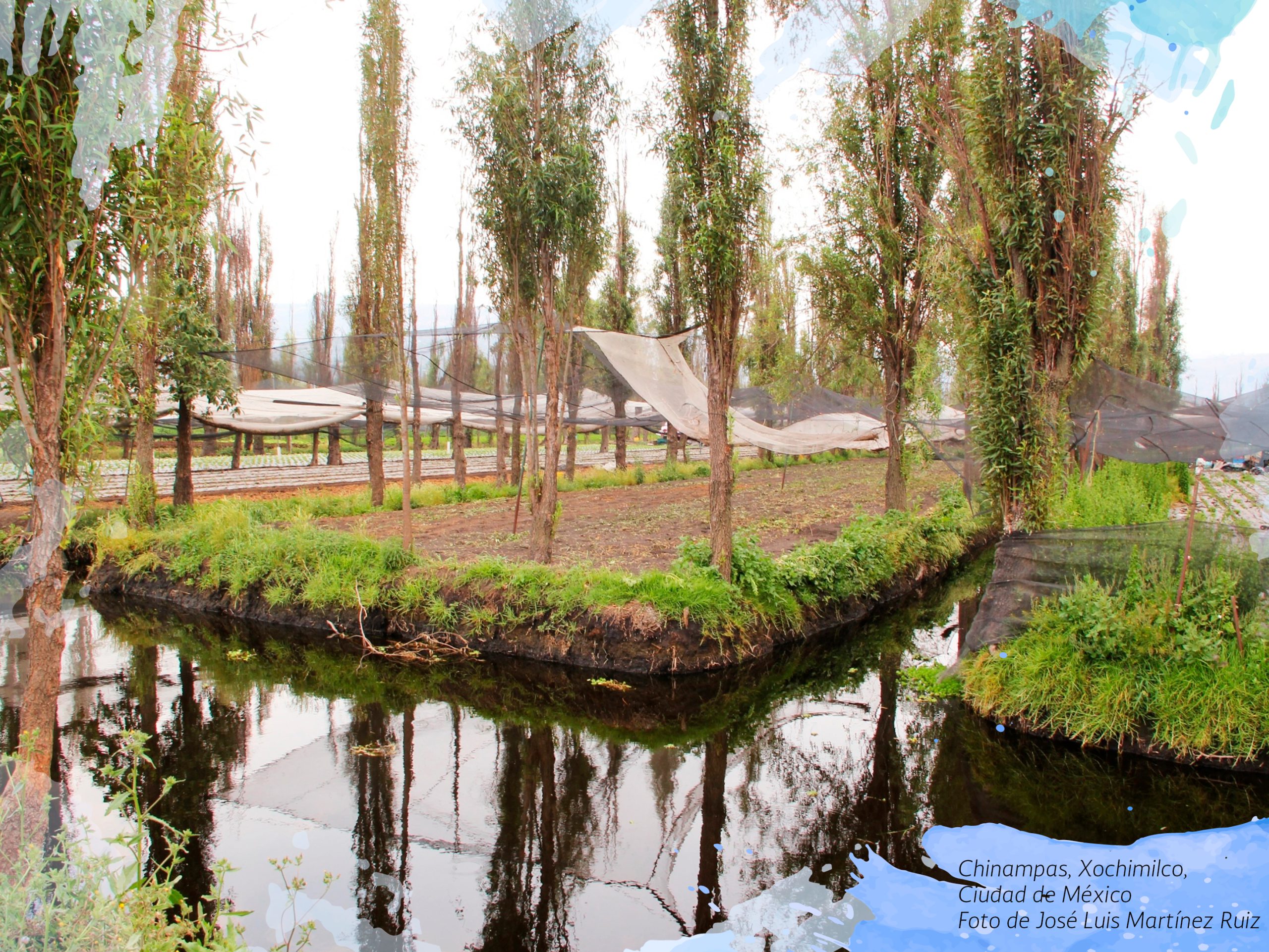 Chinampas, Xochimilco, Ciudad de México. Foto de José Luis Martínez Ruiz