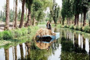 Chinampero en los canales de Xochimilco, Ciudad de México. Foto de José Luis Martínez Ruiz.