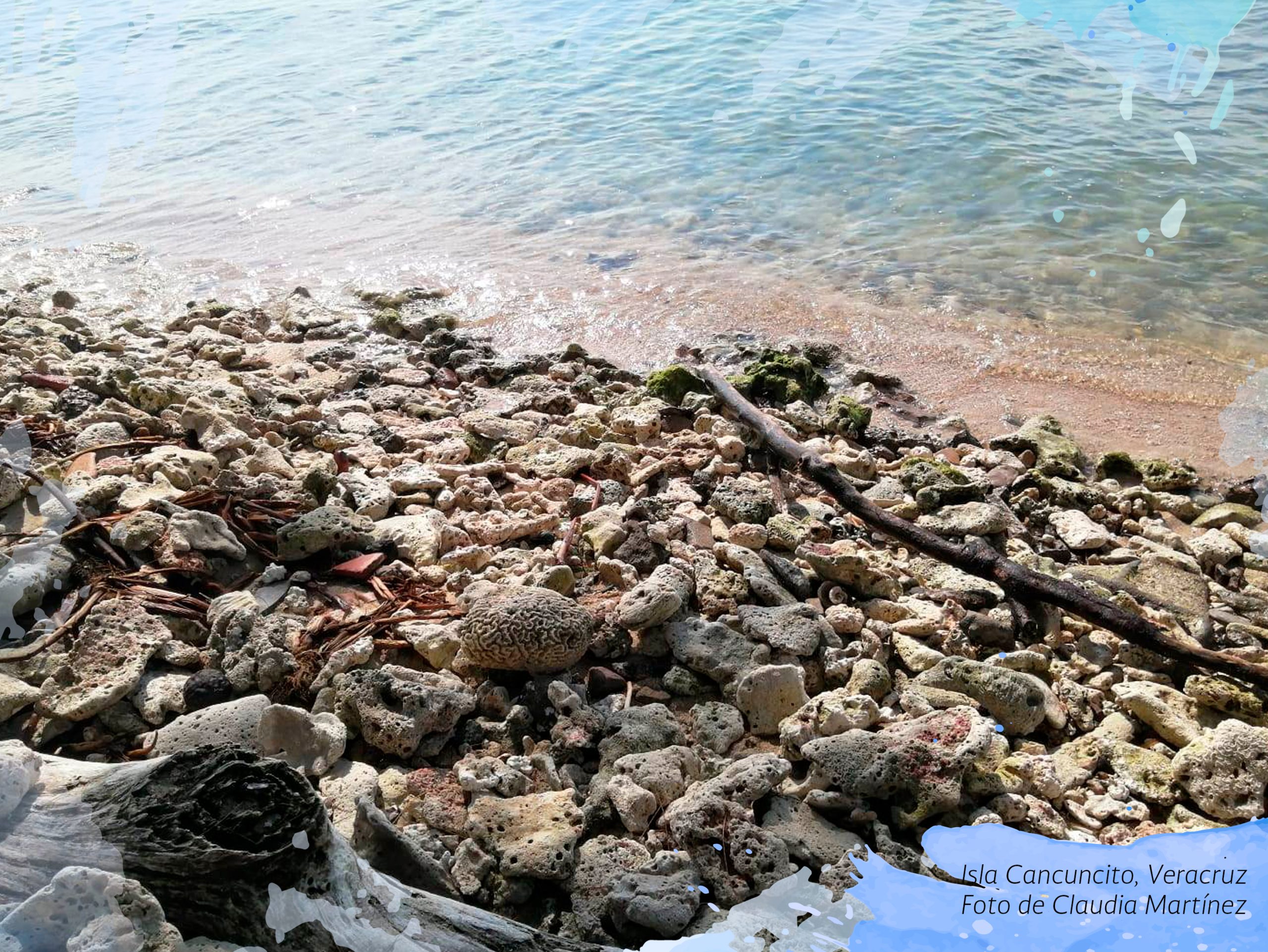 Isla Cancuncito Veracruz. Foto de Claudia Martínez