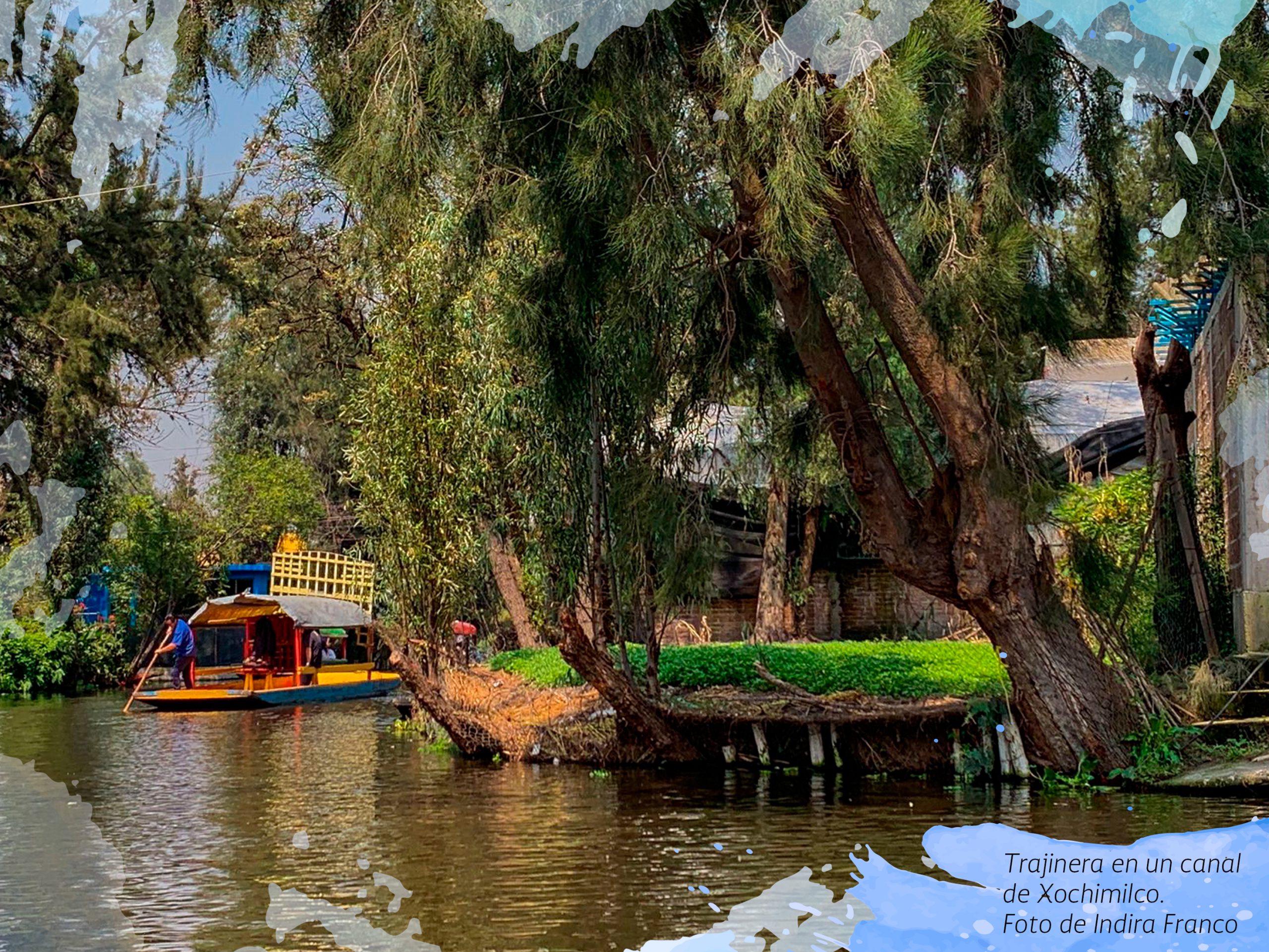 Trajinera en un canal de Xochimilco. Foto de Indira Franco