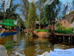 Viaje por Xochimilco. Foto de Indira Franco