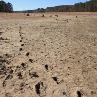 Agua y civilización: aprender del pasado