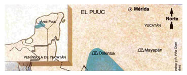 mayas