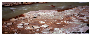 ¿Qué contiene el agua? Sedimentos_con_goethita_y_arsenico