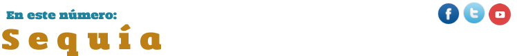 titulo