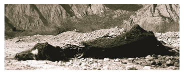 sequia_nuevo_leon