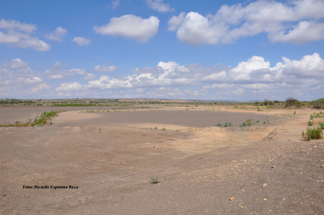 Antes una laguna, Durango, 2012