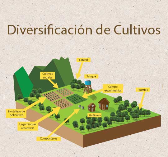 Diversificación De Cultivos