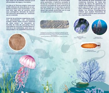 Primeros organismos marinos en la Tierra