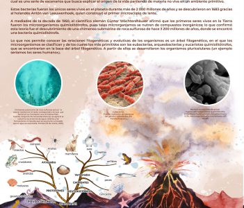 Los primeros organismos en la Tierra